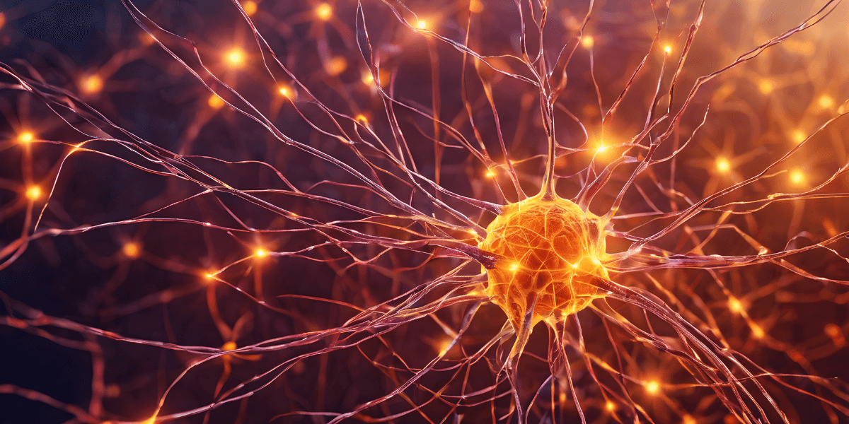 Close-up of a glowing neuron with branching connections and bright synapses