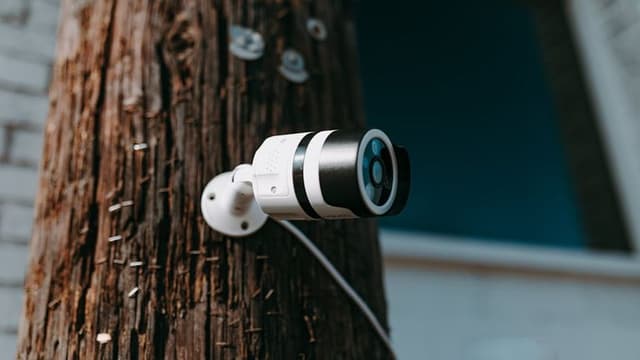 Pexels Rdne 6257849