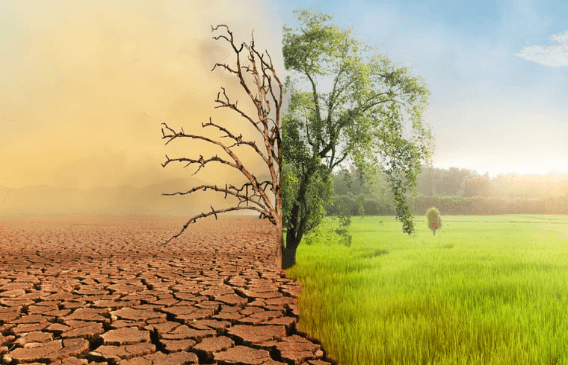 NYC Public Art Project Unveils Climate Change Murals Across Five Boroughs