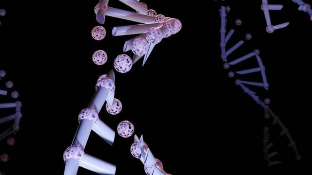 AI-Powered Genomics Uncovers 200,000-Year Neanderthal–Human Interbreeding History