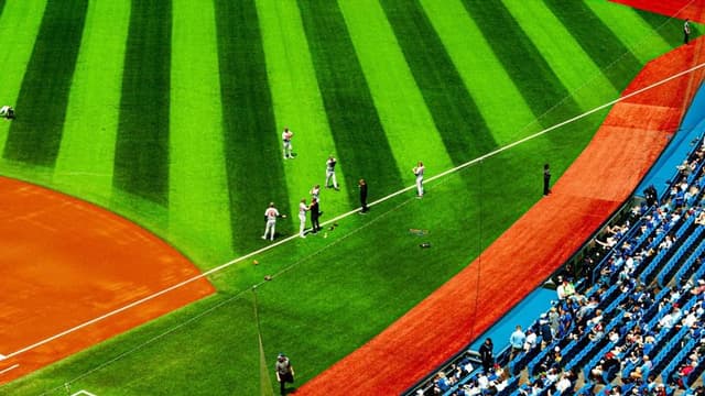 Yankees Shut Out by Guardians in 4–0 Loss, Setting Stage for Series Decider