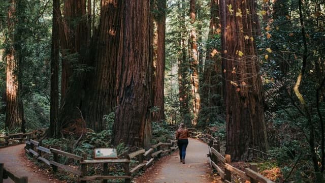 National Park Service Celebrates Record Visitor Numbers in 2025