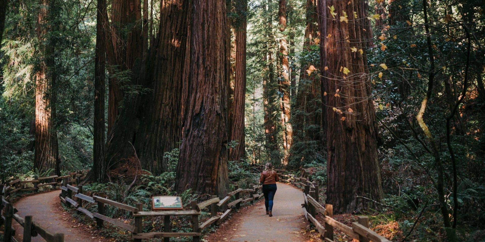 National Park Service Celebrates Record Visitor Numbers in 2025