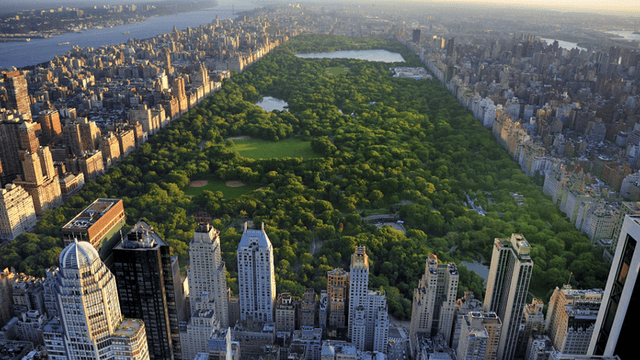 New York’s Multifaceted Moment: Budget Advances, Civic Action, and Cultural Highlights