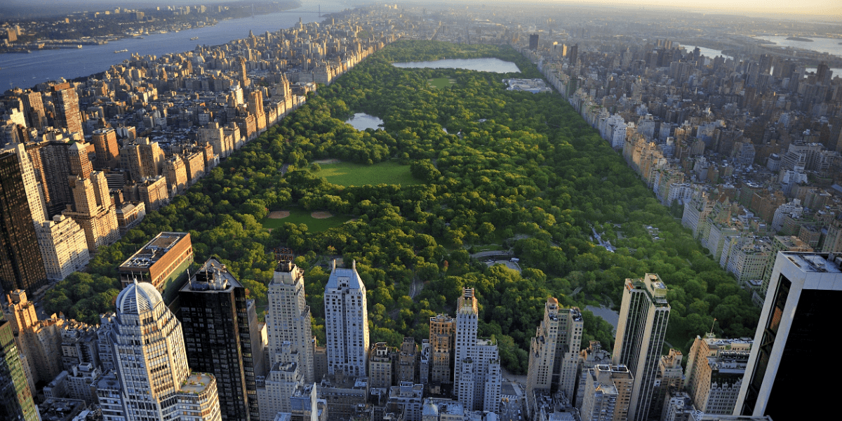 New York’s Multifaceted Moment: Budget Advances, Civic Action, and Cultural Highlights
