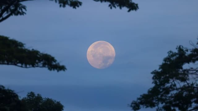 July’s Buck Moon Dazzles Skywatchers Worldwide with Rare Celestial Features