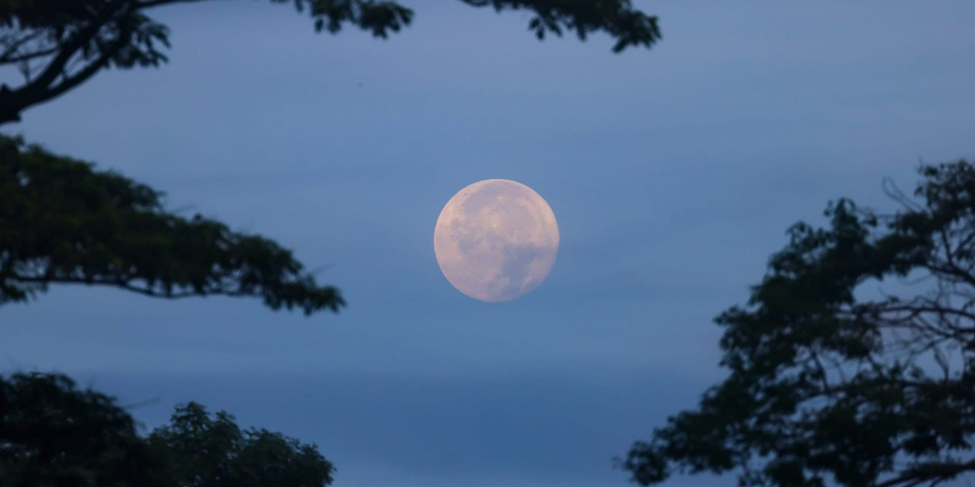 July’s Buck Moon Dazzles Skywatchers Worldwide with Rare Celestial Features