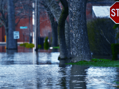 Historic Flooding in Indiana Leaves at Least Seven Dead as Recovery Continues