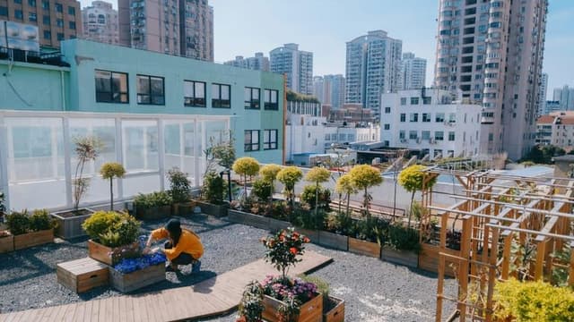 New York City Mandates Green Roofs for Affordable Housing Projects in Landmark Climate Initiative
