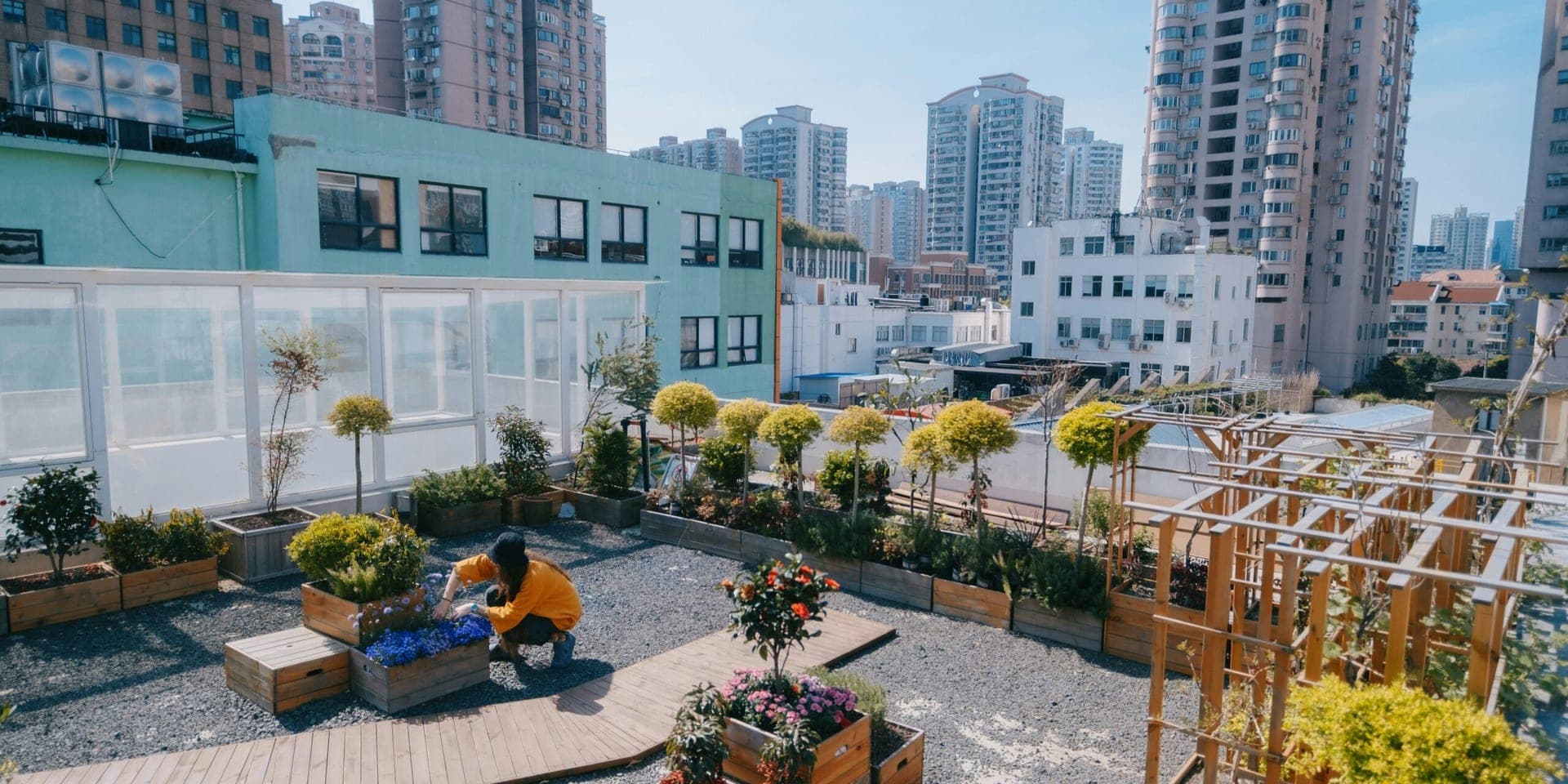 New York City Mandates Green Roofs for Affordable Housing Projects in Landmark Climate Initiative