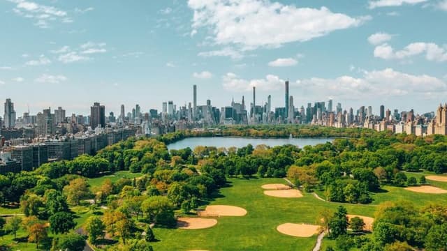 New York City Launches Major Expansion of Urban Green Spaces to Combat Heat Waves