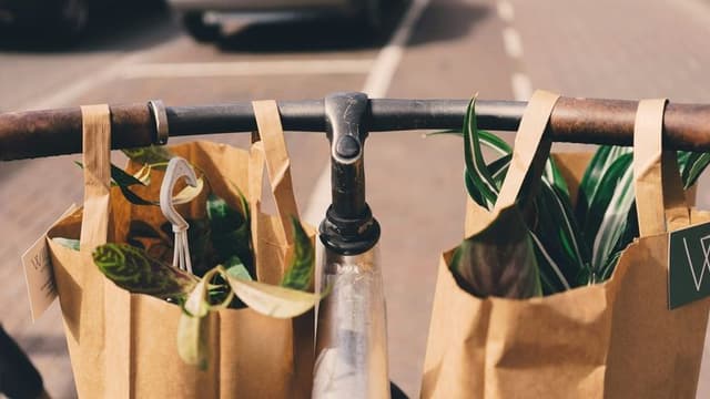 National Retailer ‘GreenGoods’ Rolls Out Biodegradable Packaging Nationwide