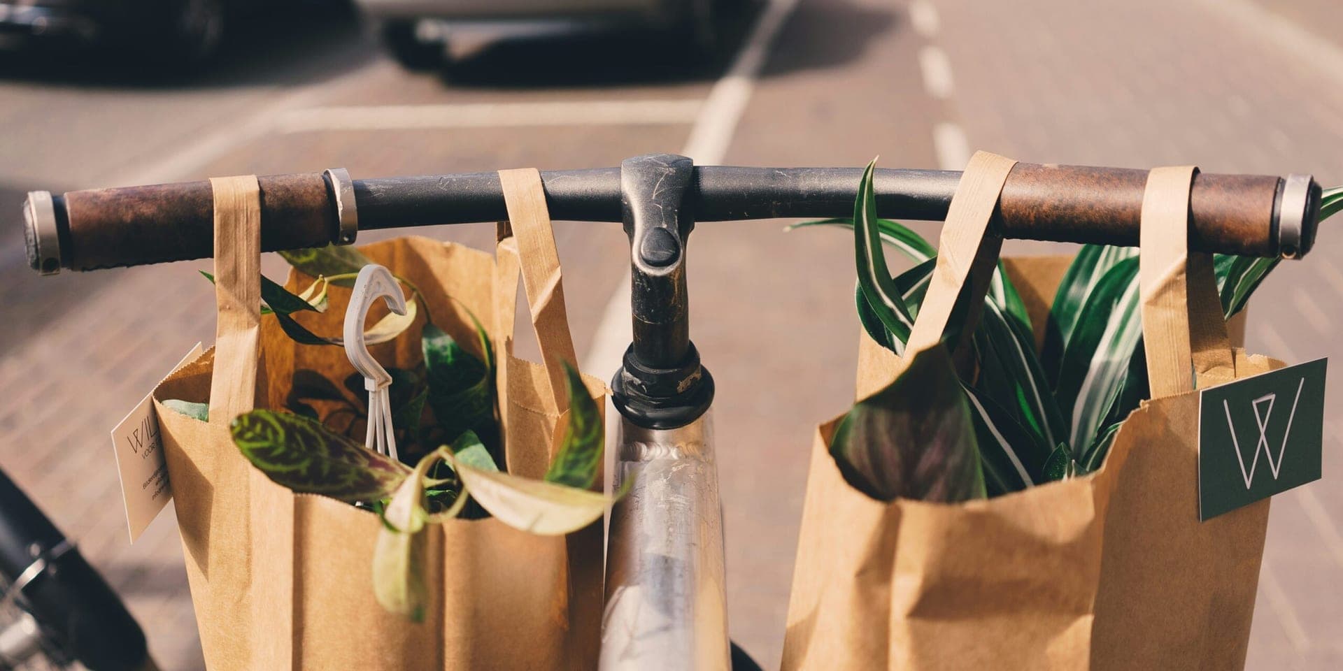 National Retailer ‘GreenGoods’ Rolls Out Biodegradable Packaging Nationwide