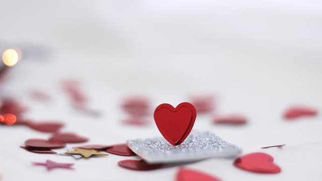 Pexels Djurdjina Ph Djiz 1894736 3687981