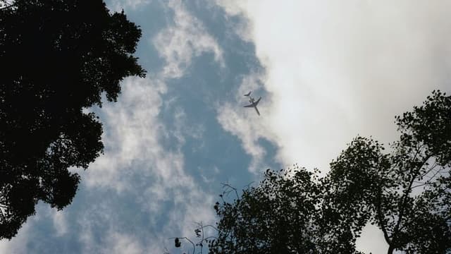 Suffolk County Launches Aerial Mosquito Control Program in Riverhead and Southold