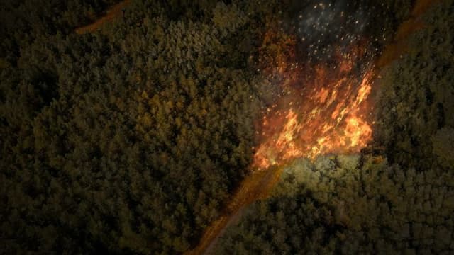 Wildfire Erupts in Los Angeles County: Spunky Fire Sparks Urgency for Emergency Response