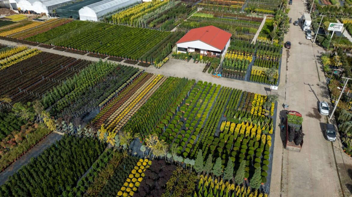 Pexels Ahmetkurt 19851417